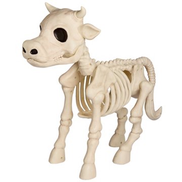Destination Holiday Halloween Cow Skeleton