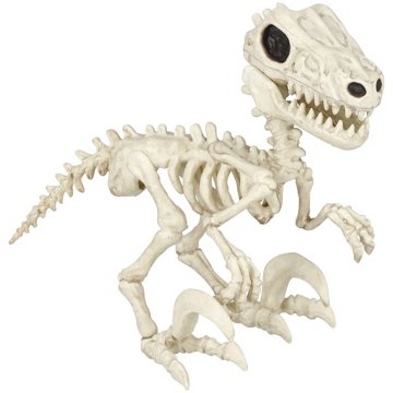Destination Holiday Small Raptor Dino Halloween Skeleton