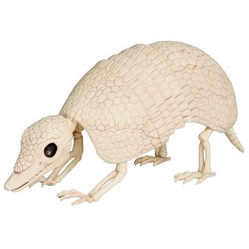Destination Holiday Halloween Armadillo Skeleton