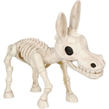 Destination Holiday Donkey Halloween Skeleton, 10" x 13.5"