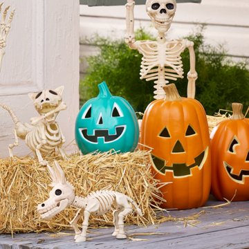 Destination Holiday Donkey Halloween Skeleton, 10" x 13.5"