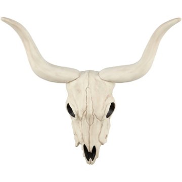 Destination Holiday Longhorn Halloween Skull