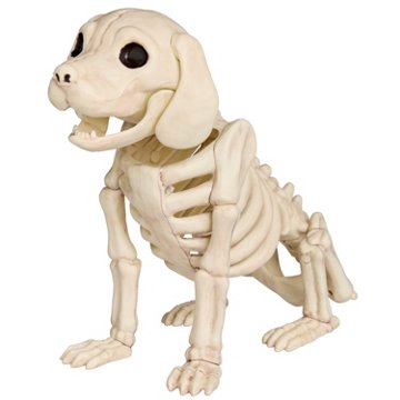 Destination Holiday Sitting Dog Halloween Skeleton