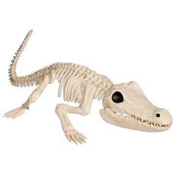 Destination Holiday Crocodile Halloween Skeleton