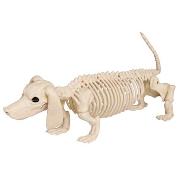 Destination Holiday Wiener Dog Halloween Skeleton