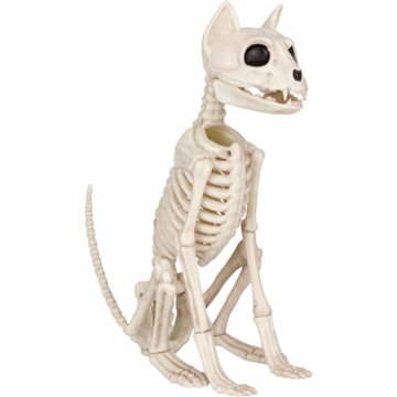 Destination Holiday Sitting Cat Halloween Skeleton