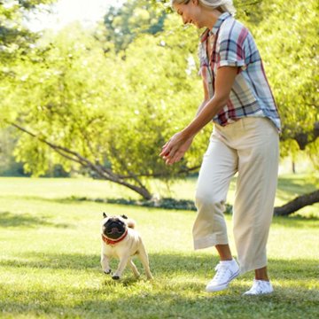 MilkBone Peanut Butter Dipped Biscuits - Apple Flavored, 10 oz