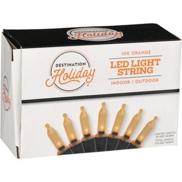 Destination Holiday LED Orange String Lights