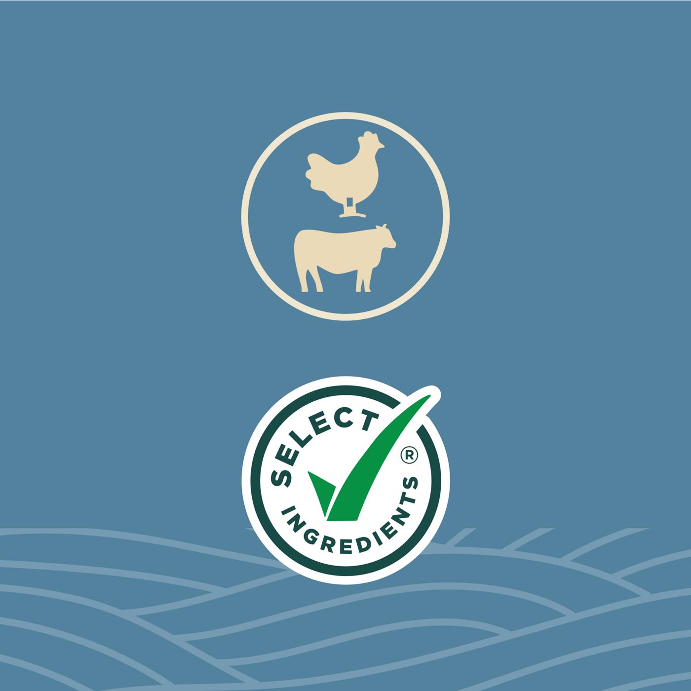 Higher Harvest by H-E-B 37g Protein Lifestyle Meal - Chicken & Steak Chimichurri; image 9 of 10