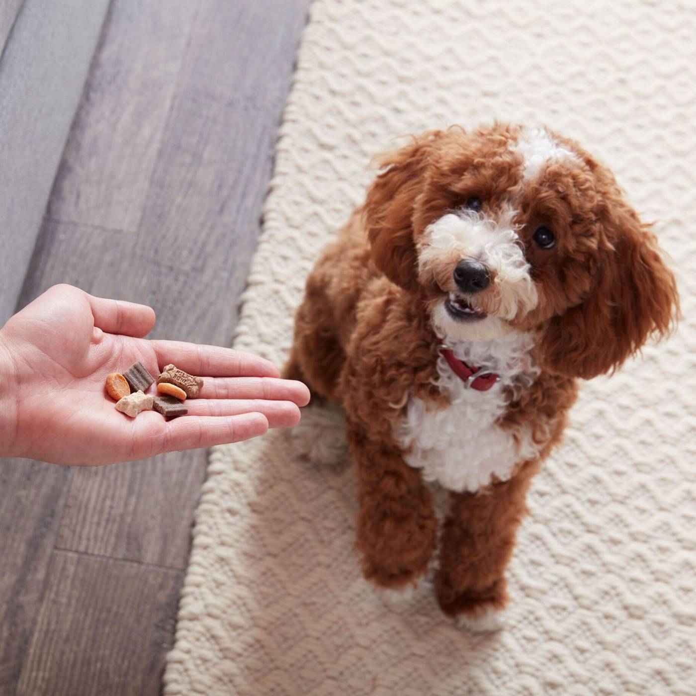 MilkBone Trail Mix Chewy & Crunchy Dog Treats; image 2 of 6