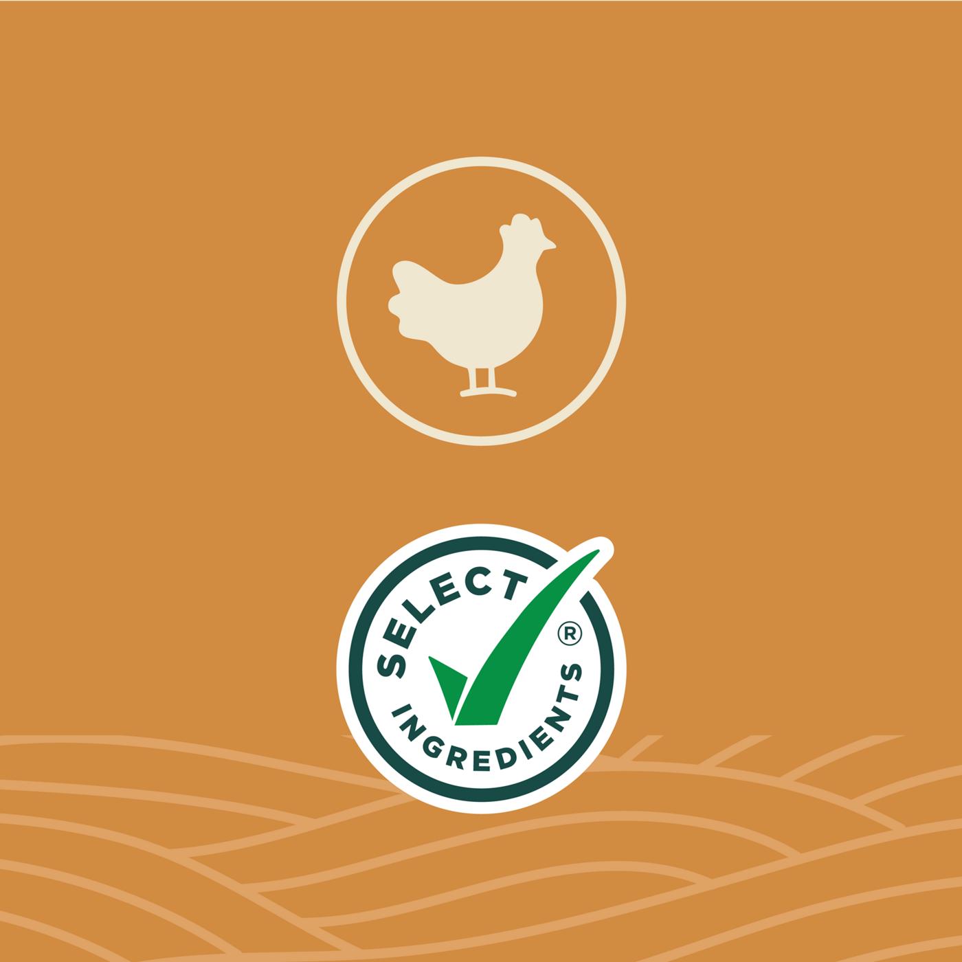 Higher Harvest by H-E-B 44g Protein Lifestyle Meal - Italian Chicken Marinara; image 9 of 10