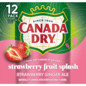 Canada Dry Fruit Splash Strawberry Ginger Ale Soda 12 pk Cans