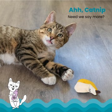 Catstages Catstages Dental Banana Cat Toy