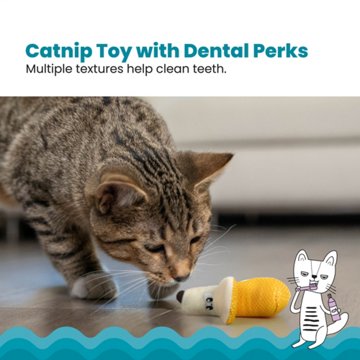 Catstages Catstages Dental Banana Cat Toy