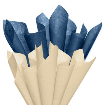 American Greetings Navy Blue & Tan Father's Day Tissue Paper Pack, 20" x 20"
