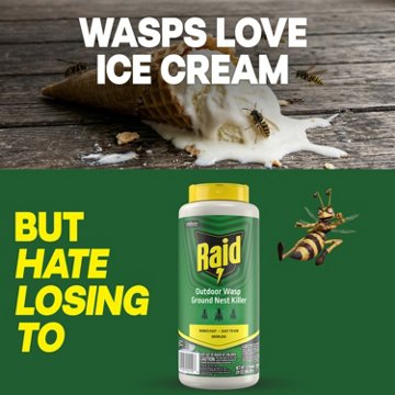 Raid Outdoor Wasp Ground Nest Killer