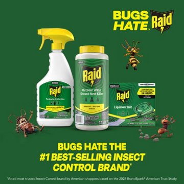 Raid Outdoor Wasp Ground Nest Killer