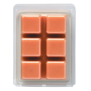 Destination Holiday Campfire Pumpkin Scented Wax Melts, 6 ct