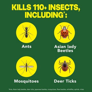 Raid Lawn & Garden Bug Killer Spray, 32 oz