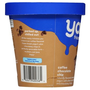 Yasso Frozen Greek Yogurt - Coffee Chocolate Chip, 14 oz