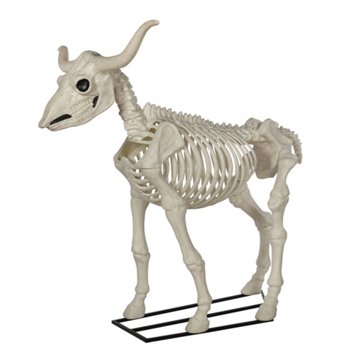Seasons Longhorn Halloween Skeleton, 6'