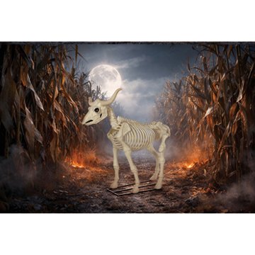 Seasons Longhorn Halloween Skeleton, 6'