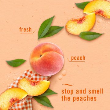 Febreze Plug Scented Oil Refills - Juicy Summer Peaches, 2 ct