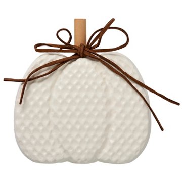 Destination Holiday Mini White Pumpkin Table Decor