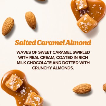 'ndulge Salted Caramel Almond High-Protein Ice Cream Bars