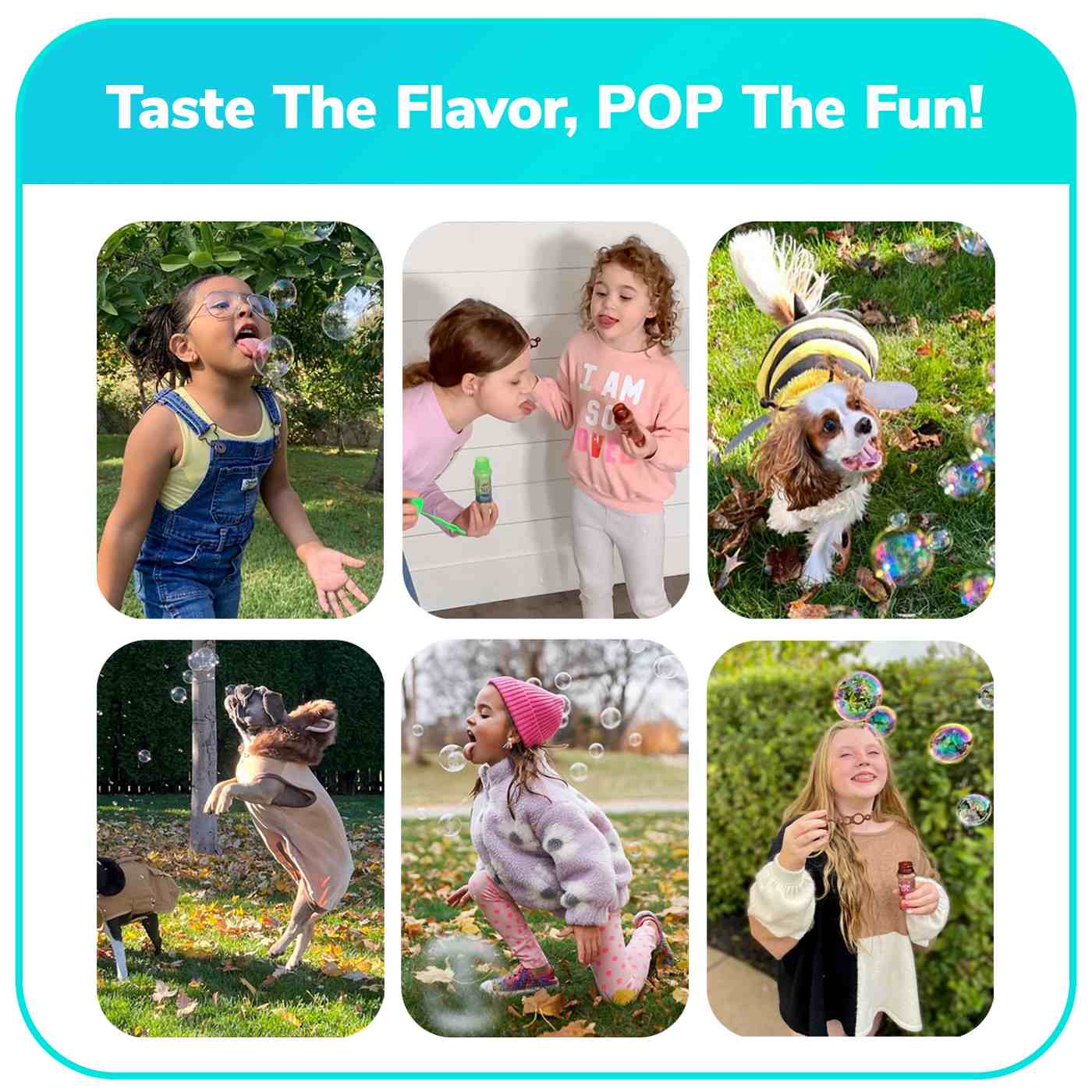 Bubble Lick Maple Bacon Flavored Bubbles; image 2 of 9