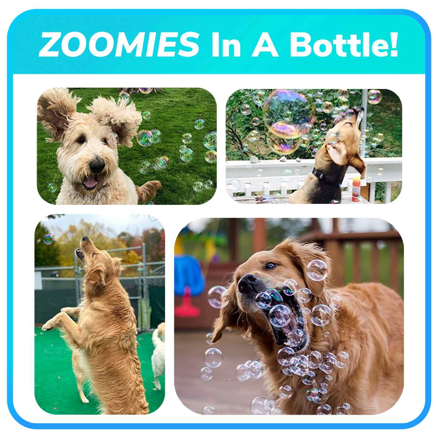 Bubble Lick Maple Bacon Flavored Bubbles; image 7 of 9