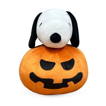 Peanuts Snoopy Pillow & Silk Touch Throw Blanket Set, 40'' x 50''