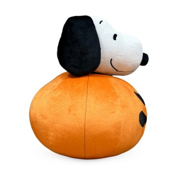 Peanuts Snoopy Pillow & Silk Touch Throw Blanket Set, 40'' x 50''