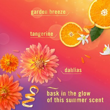 Febreze Luxe Air Freshener Odor Fighting Room Spray - Summer Golden Hour Scent