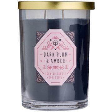 Destination Holiday Dark Plum & Amber 2 Wick Jar Candle, 20 oz