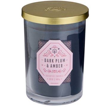 Destination Holiday Dark Plum & Amber 2 Wick Jar Candle, 20 oz
