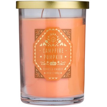 Destination Holiday Campfire Pumpkin Scented 2 Wick Jar Candle
