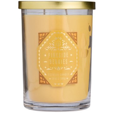 Destination Holiday Fireside Berries Scented 2 Wick Jar Candle