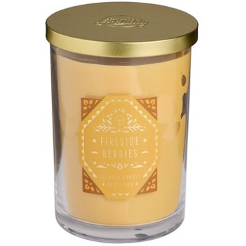 Destination Holiday Fireside Berries Scented 2 Wick Jar Candle