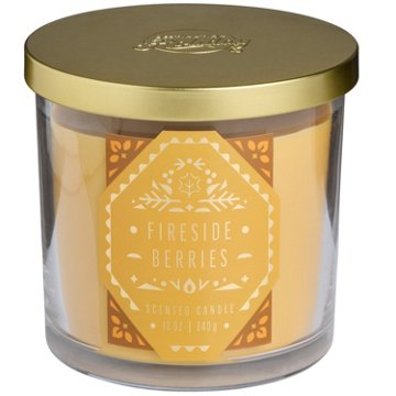Destination Holiday Fireside Berries Scented 2 Wick Candle
