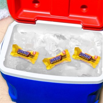 Snickers Minis Crunchy Peanut Butter Ice Cream Bars