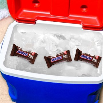 Snickers Minis Milk Chocolatey Caramel Peanut Butter Ice Cream Bars
