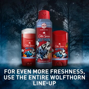 Old Spice Aluminum Free Deodorant Solid - Wolfthorn, 2 pk