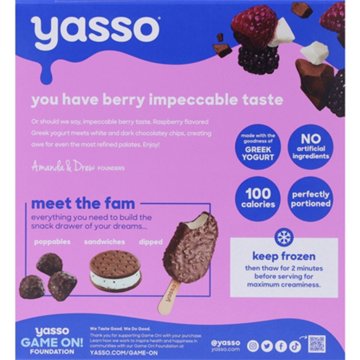 Yasso Black Raspberry Chip Frozen Greek Yogurt Bars