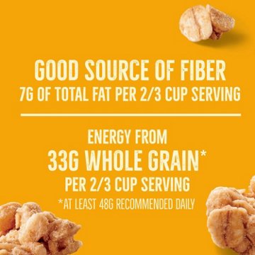 Nature Valley 13g Protein Granola Oats & Honey - Family Size