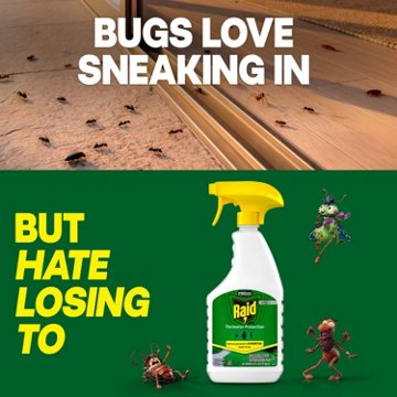 Raid Max Perimeter Protection Spray