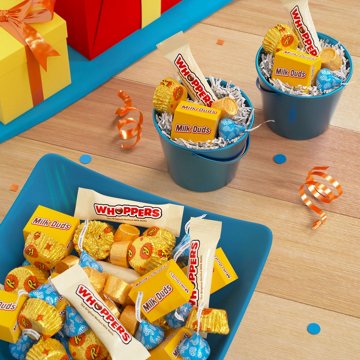 Hershey's, Reese's, Whoppers, Milk Duds & Rolo Assorted Miniature Size Candy - Party Pack