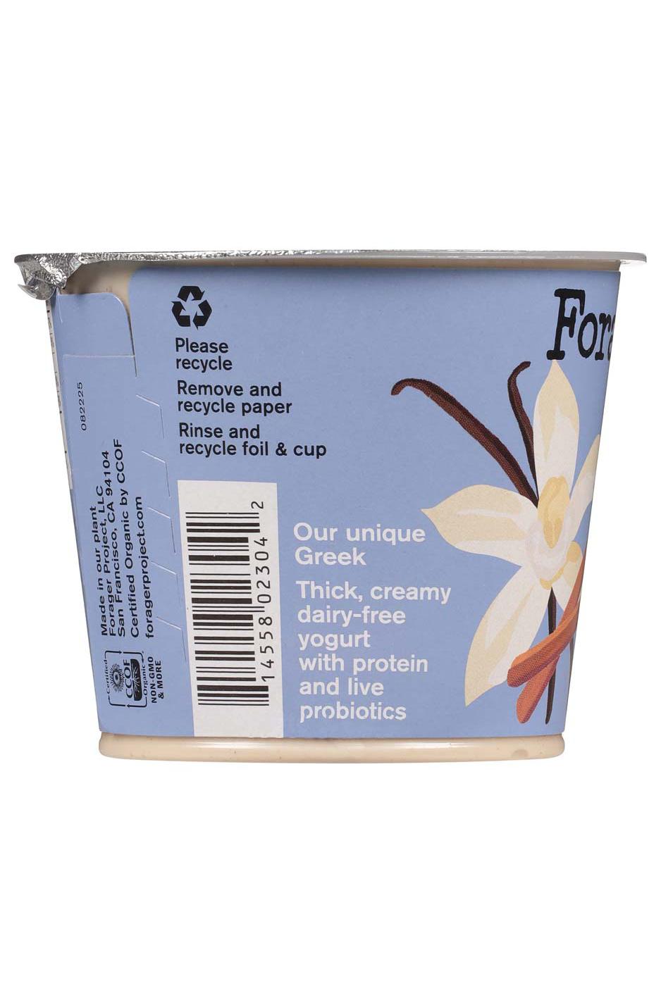 Forager 10g Protein Vanilla Cinnamon Greek Style Yogurt - Shop Yogurt ...