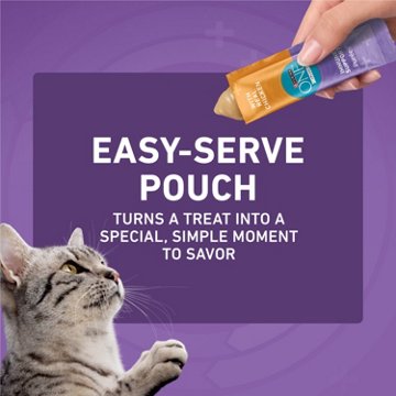 Purina ONE Plus Immune Support Purees With Real Chicken