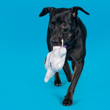 Woof & Whiskers Mummy Dog Toy